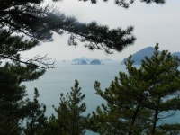 거제도소나무향기낚시펜션