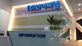 와이씨엘
