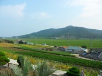 야자수펜션민박