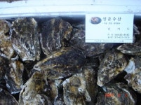 성훈수산