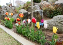 금모래은모래펜션