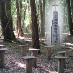 세계평화의섬교회