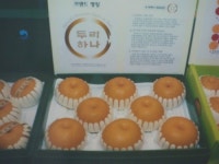 정경농장