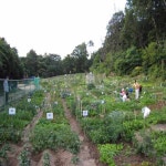 정의공주 주말농장