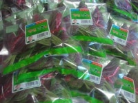 안심영농조합법인