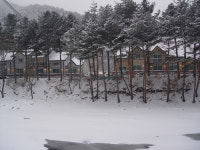 평창어울림펜션