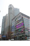 파인트리치과의원