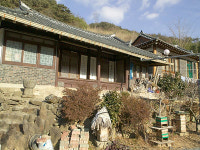 감나무집민박