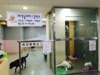 위즈펫동물병원 일산점