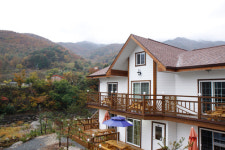황금펜션