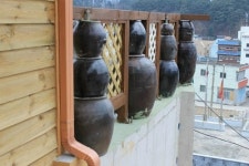 백암블루베리펜션