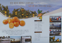 신효월라봉영농조합법인