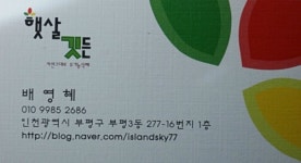 햇살깃든식혜