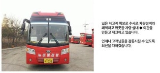 뉴비봉관광