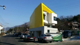 옐로우스케일