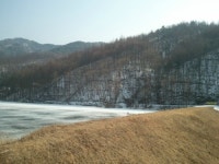 한반도산삼마을영농조합법인