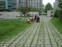 그린조경