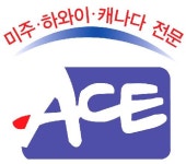 에이스아메리카투어