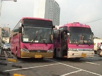 선진관광 방도식