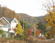 팔레스펜션