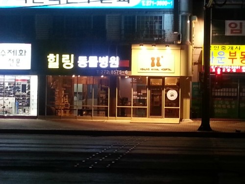 힐링동물병원