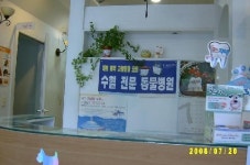 김수의과동물병원