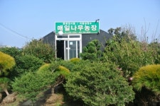 매일나무농장