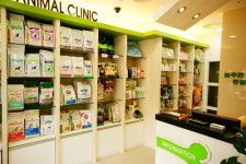 늘푸른동물병원