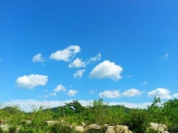 인천 강화 바다정원 가족 오션뷰 펜션