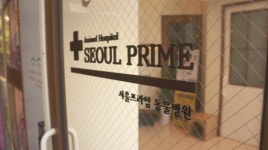 서울프라임동물병원