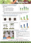 진천오이영농조합법인