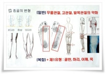 라파엘헬스라이프라파엘자연치유연구소 | 라파치유센터