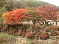 아침농원