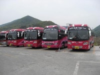 새구미연합관광