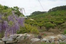 홍근농원