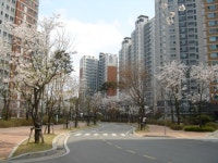 e편한114공인중개사 사무소