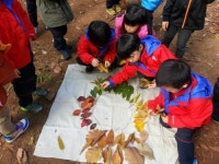 수피아유치원
