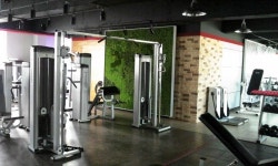 킴스휘트니스짐 & 피티