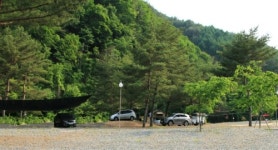 황금캠핑장