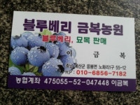 금복농원블루베리농장