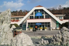대풍관광여행사
