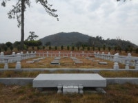 하늘천상조