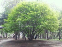 스마일환경