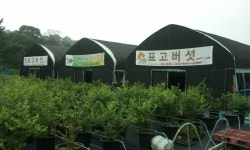 표고영세농장