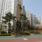 탑부동산공인중개사사무소