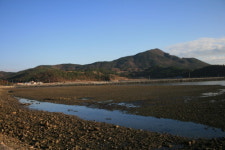 고흥명품하나봉농원