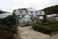 양곡분재원