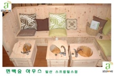 편백숲하우스 스프링힐스점