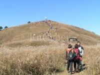 민둥산