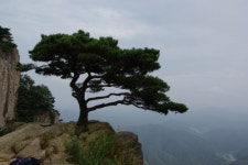 인쇄할인마트